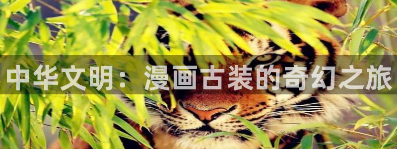 香蕉漫画小说：中华文明：漫画古装的奇幻之旅