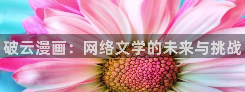 香蕉漫画无遮挡：破云漫画：网络文学的未来与挑战